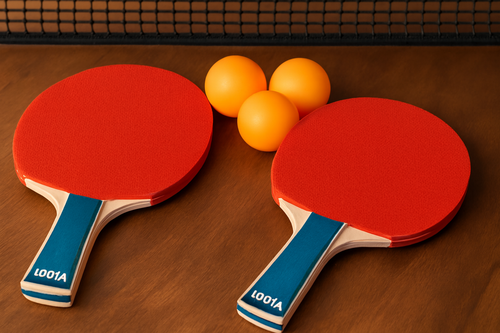 Table Tennis Paddle Set – L001A